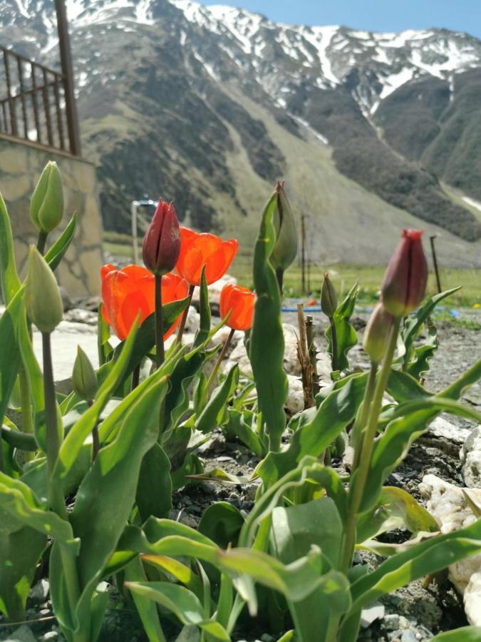 Hotel Diamond Kazbegi Luaran gambar