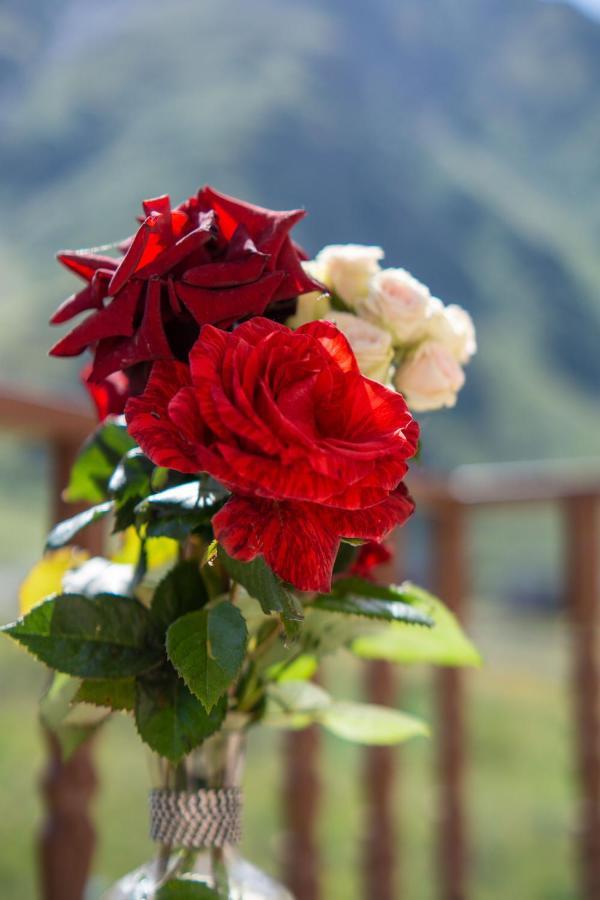 Hotel Diamond Kazbegi Luaran gambar